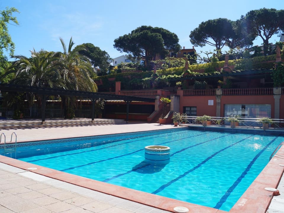 Palmera Villa in Selva