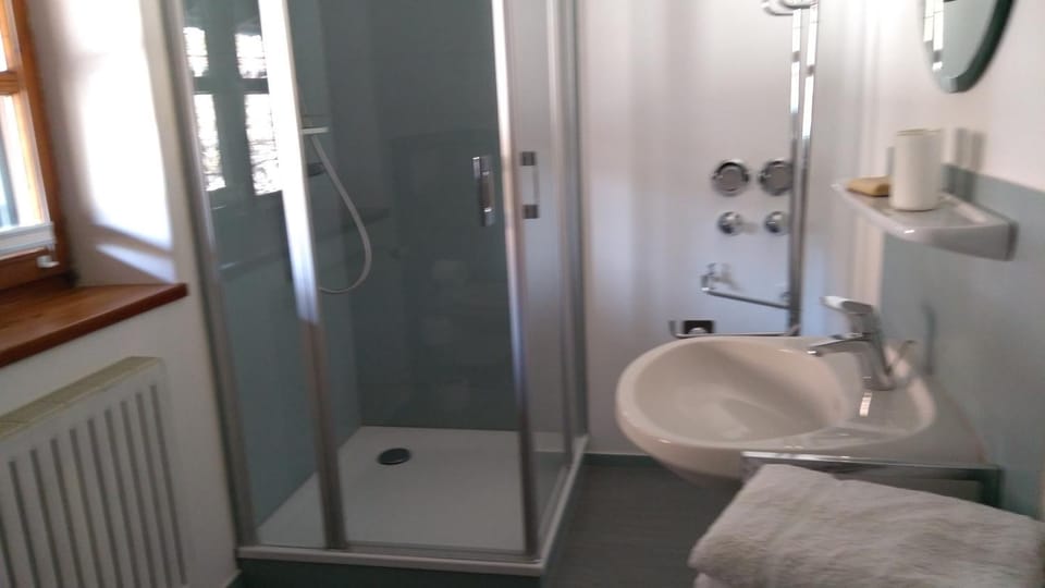 Ferienwohnung Danner Apartment in Salzburgerland