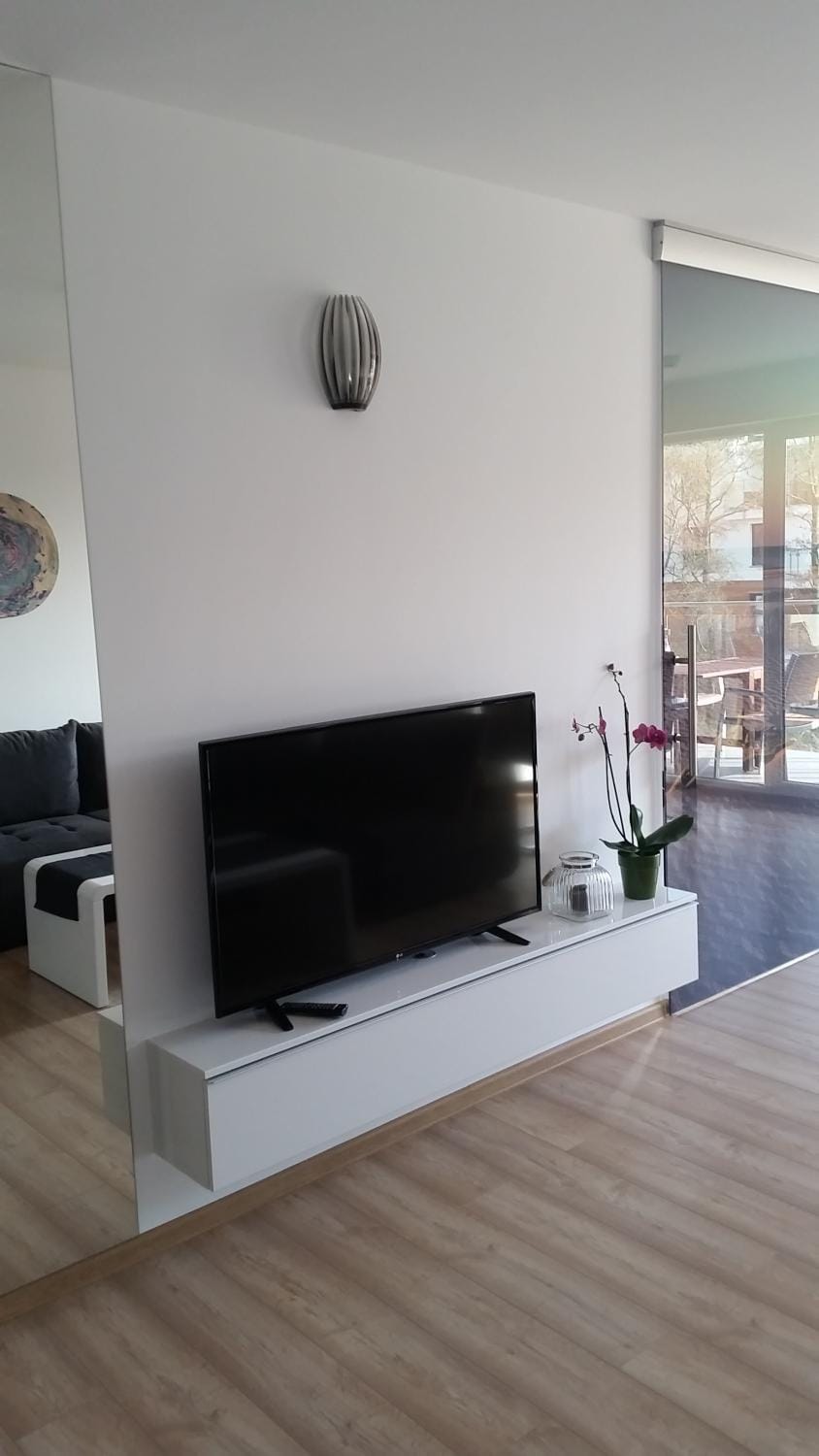 TV and multimedia