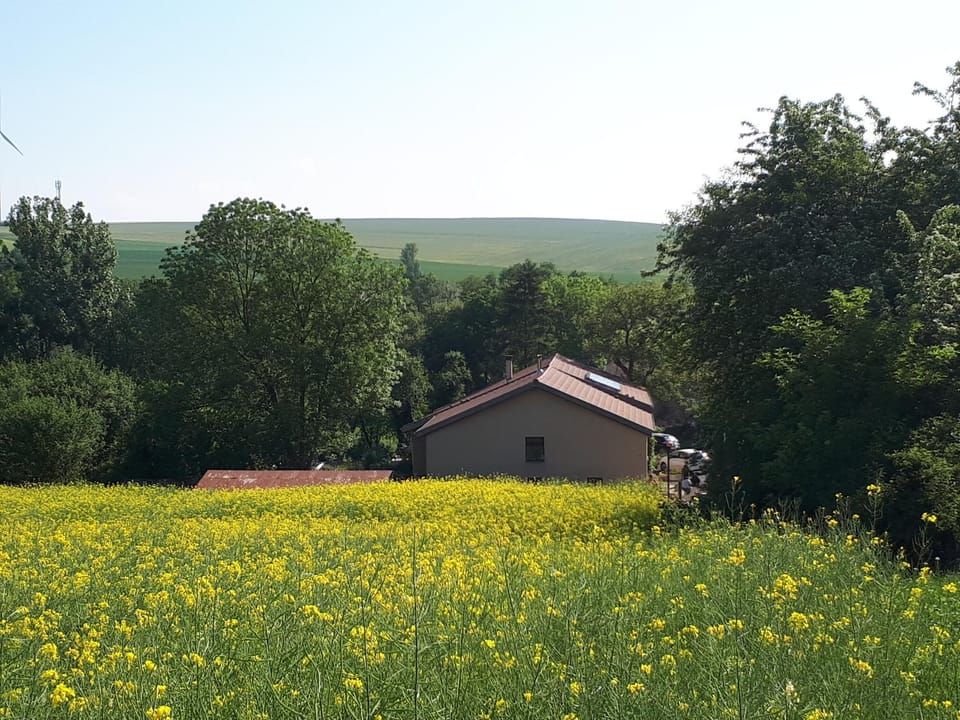 Natural landscape