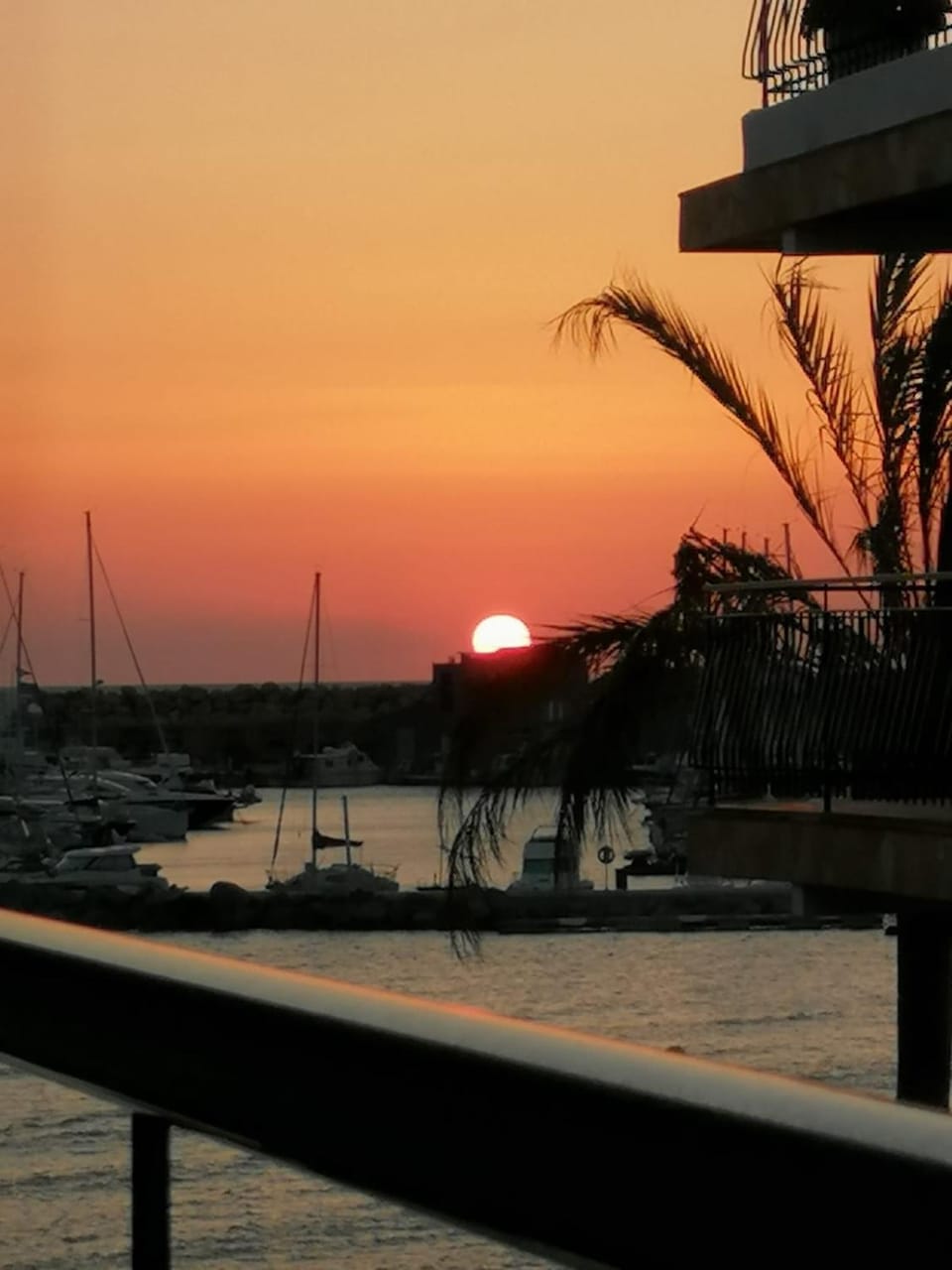 Sunrise