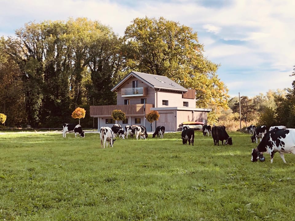 Swiss Lake Lodge House in Canton of Vaud