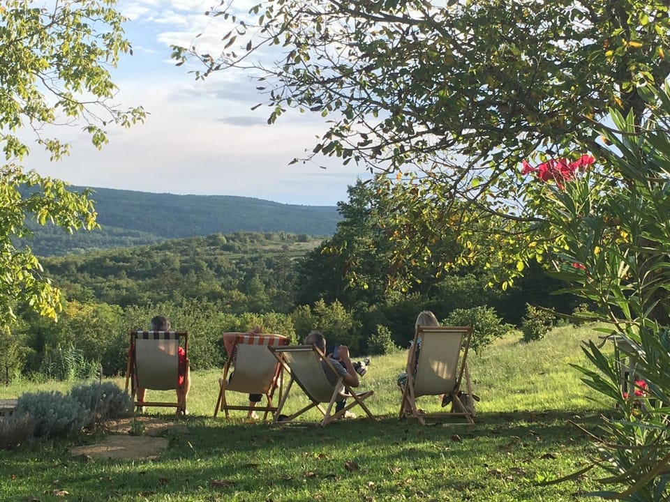 Natural landscape, Garden, Seating area, Garden view, group of guests