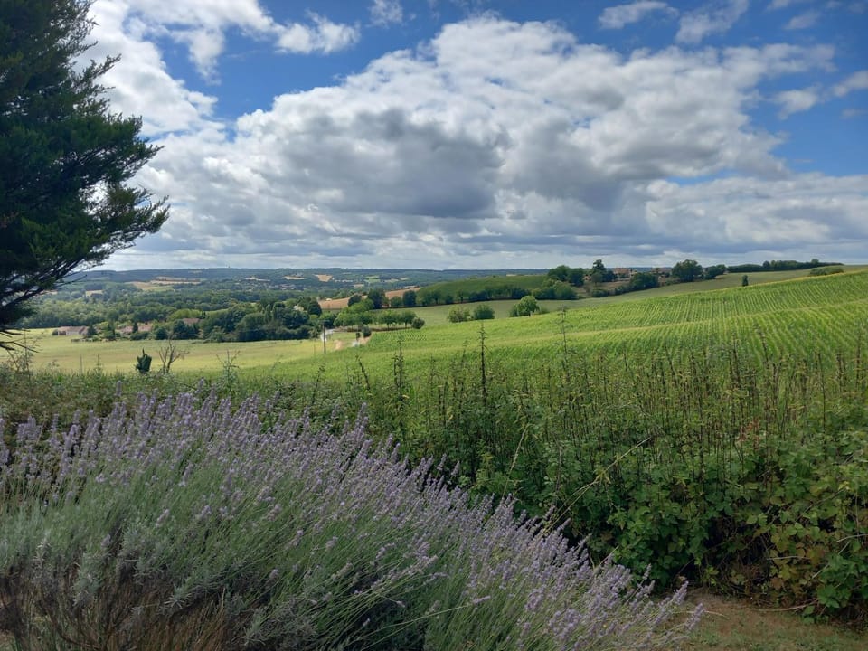 Garden view