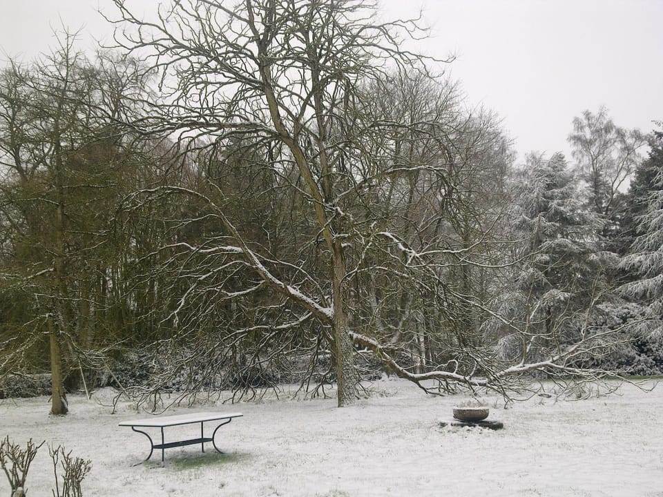 Winter, Garden