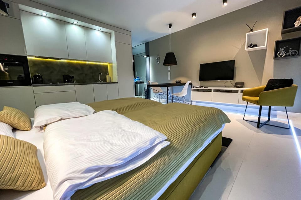 Bed, TV and multimedia, Living room, Photo of the whole room, Seating area, Evening entertainment, Bedroom, air conditioner