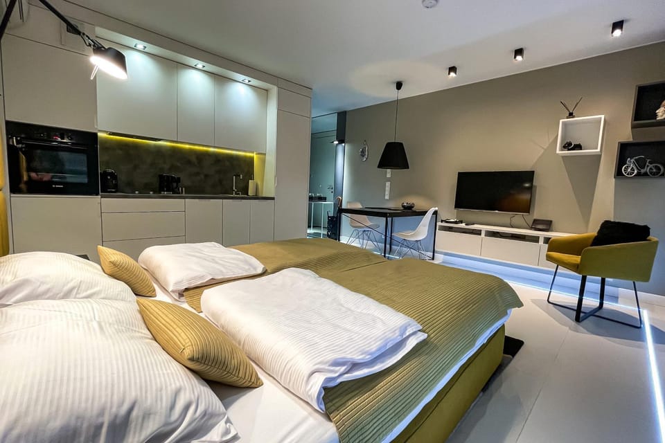 Bed, TV and multimedia, Kitchen or kitchenette, Living room, Photo of the whole room, Seating area, Evening entertainment, Bedroom