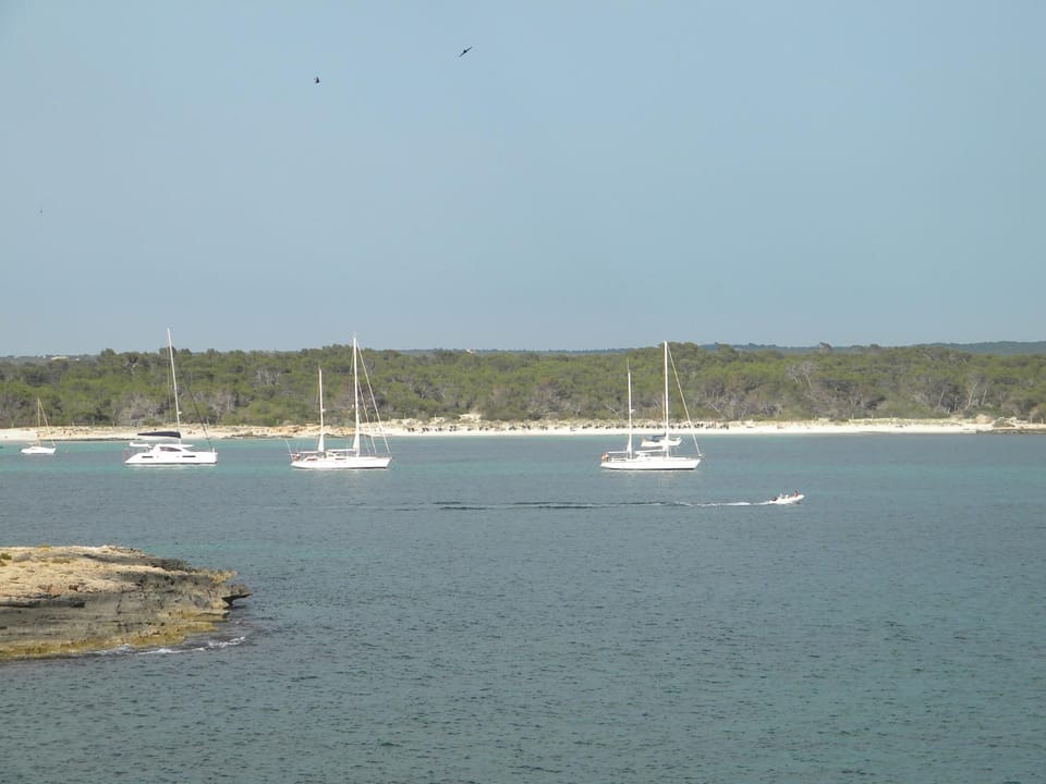 Natural landscape, Beach