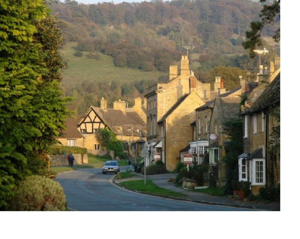 Neighbourhood, Natural landscape, Street view
