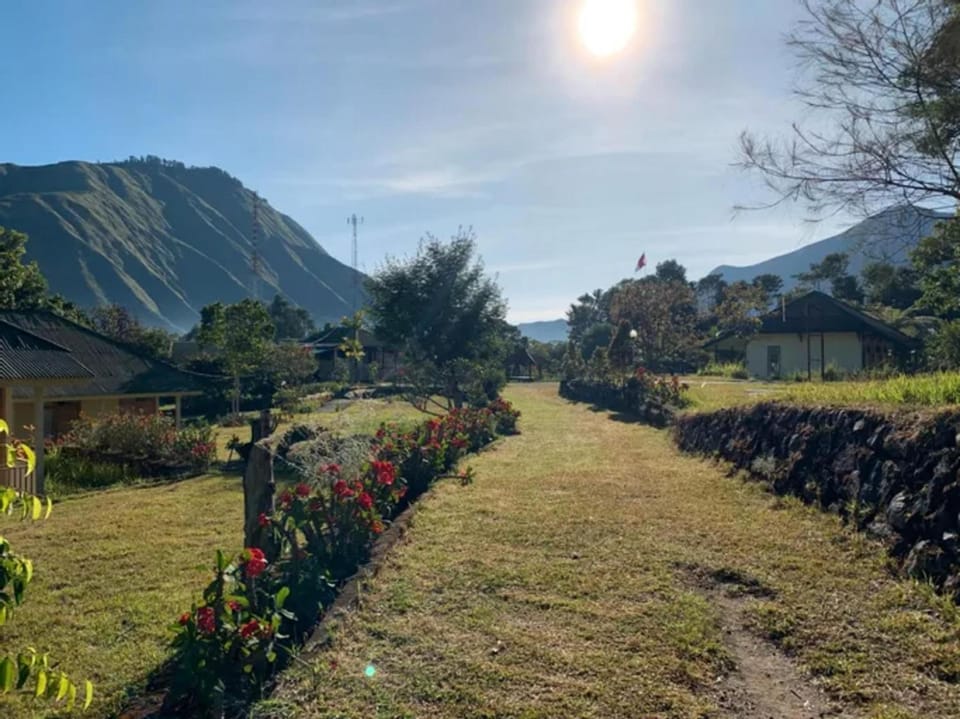 Spring, Natural landscape, Garden, Garden view, Mountain view