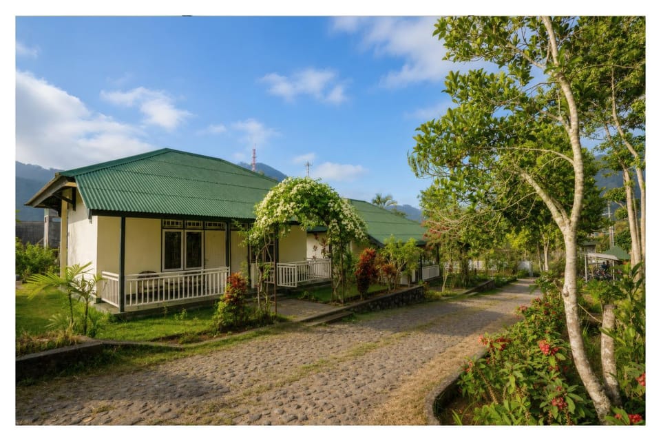 Property building, Garden view