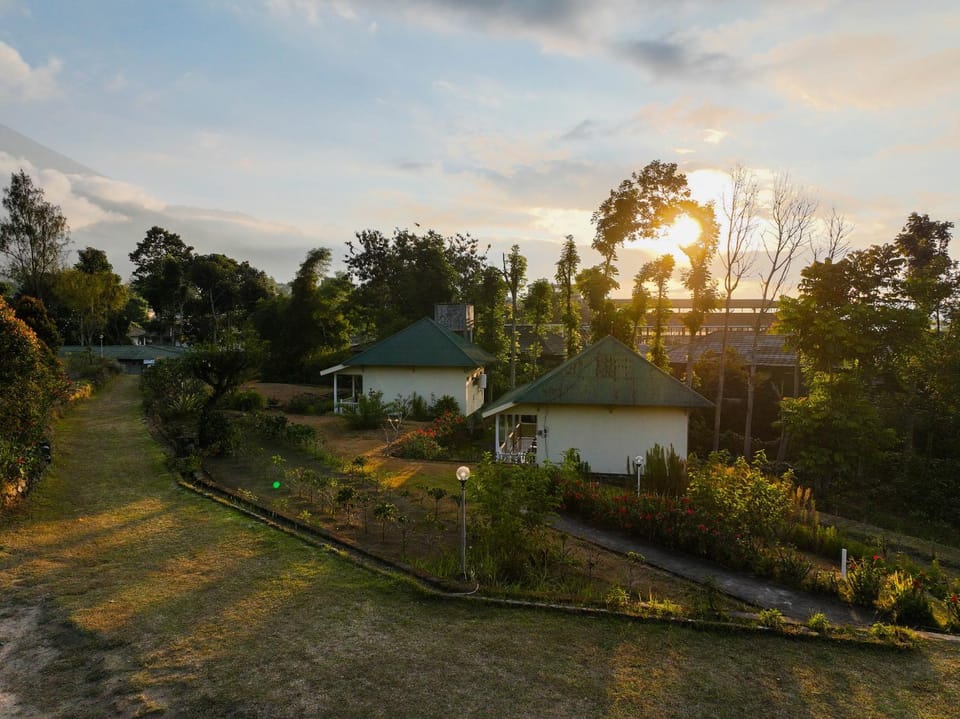 Garden, Garden view, Sunset