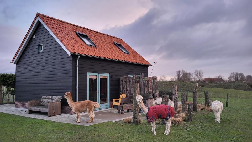 Garden, Pets