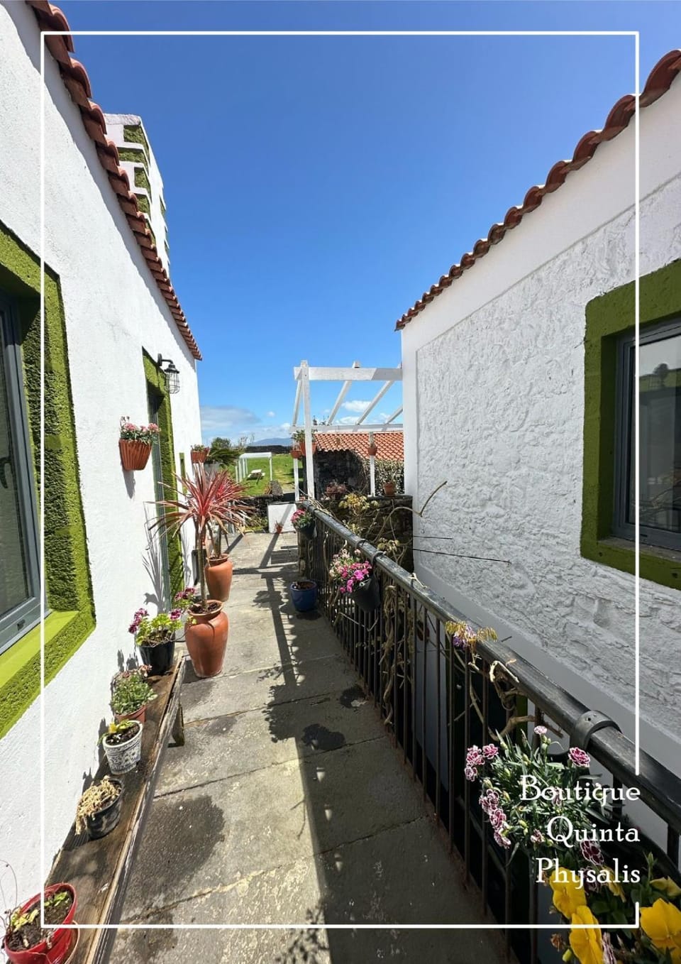 Boutique Quinta Physalis Vacation rental in Azores District