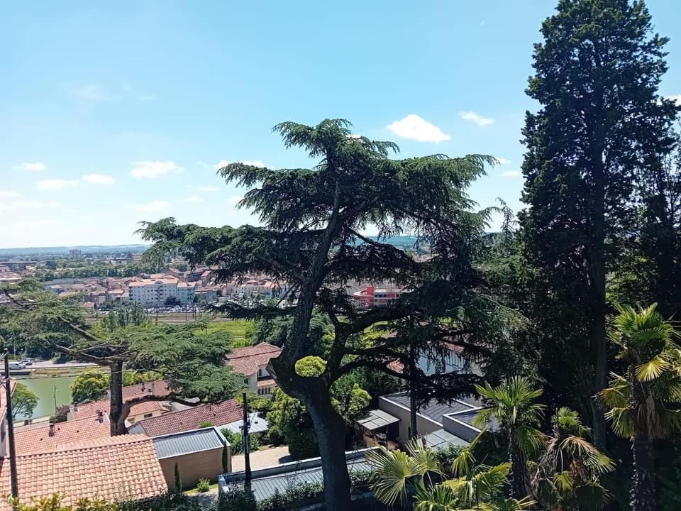 View (from property/room)