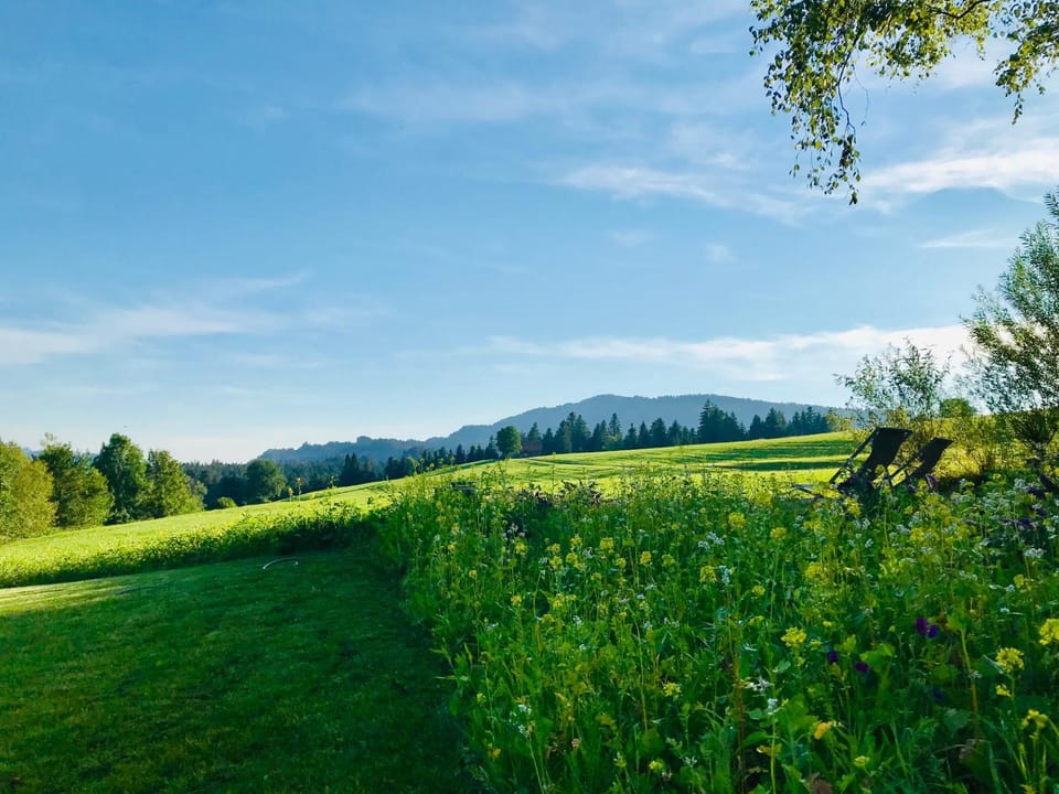 Garden view