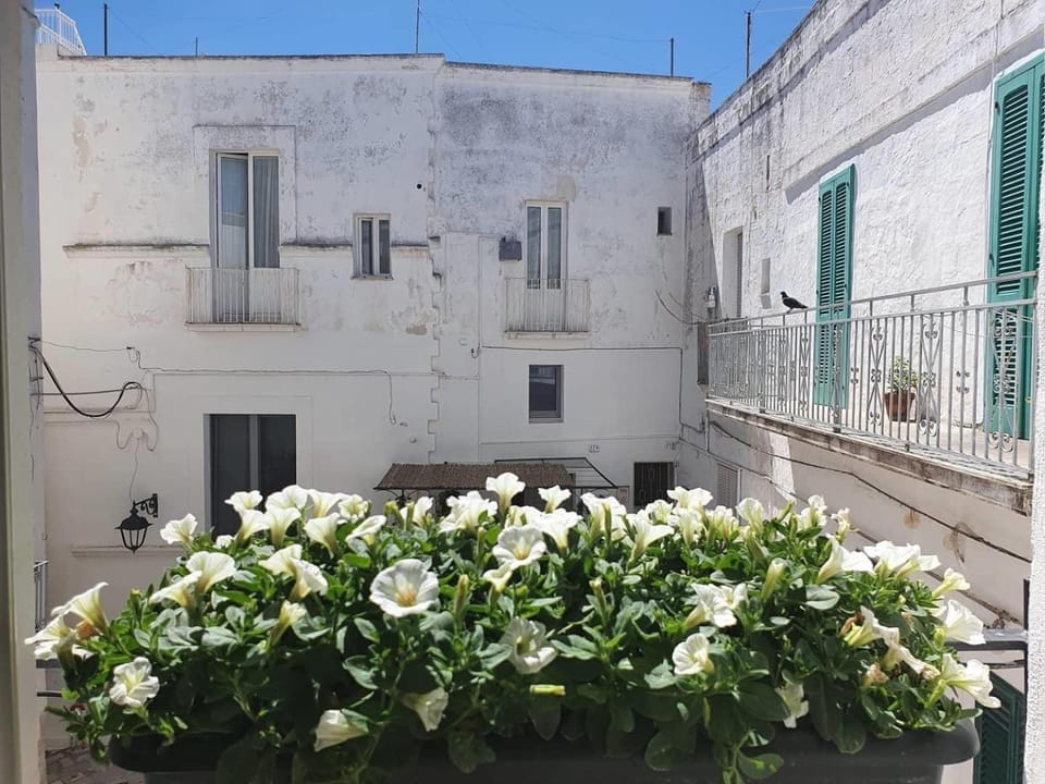 Property building, Spring, Day