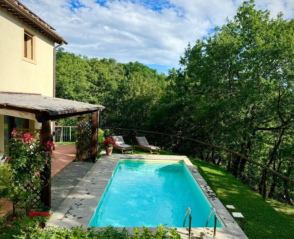 Pool view, Swimming pool, sunbed