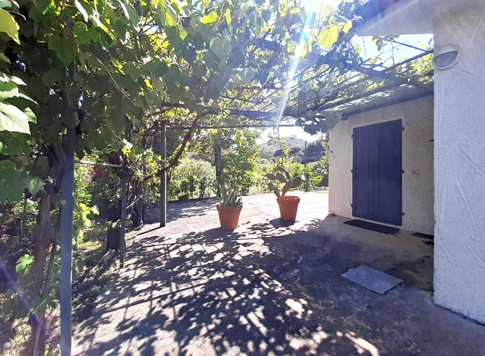 Garden, Garden, Garden view, Garden view