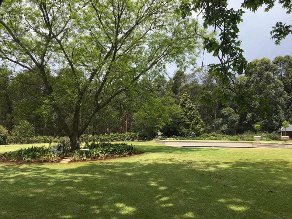 Garden view