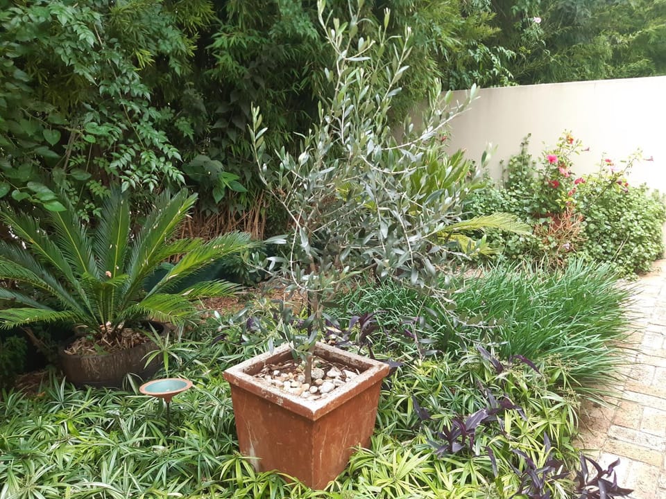 6 Olives on Third Apartment in Sandton