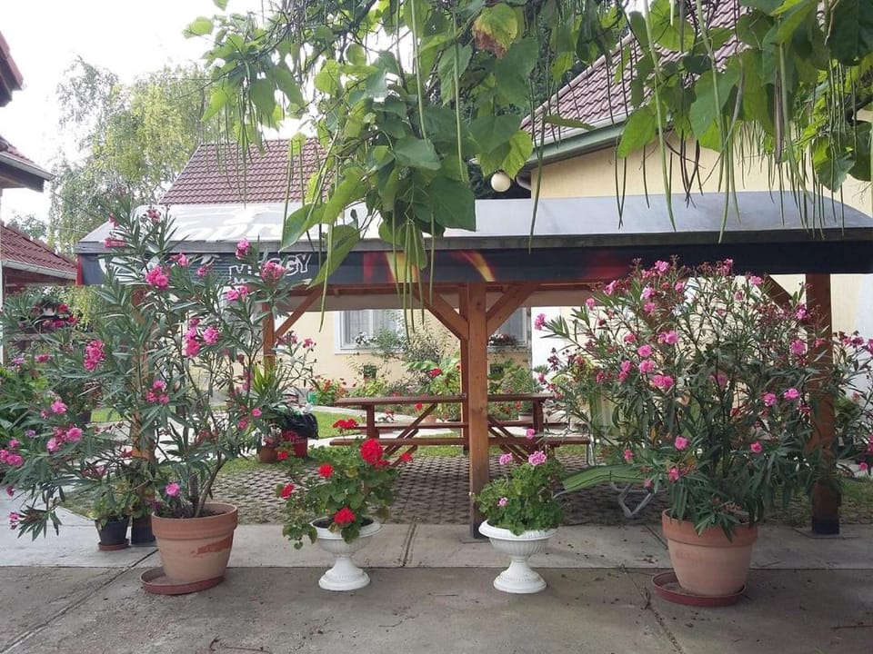 Property building, Garden, Balcony/Terrace