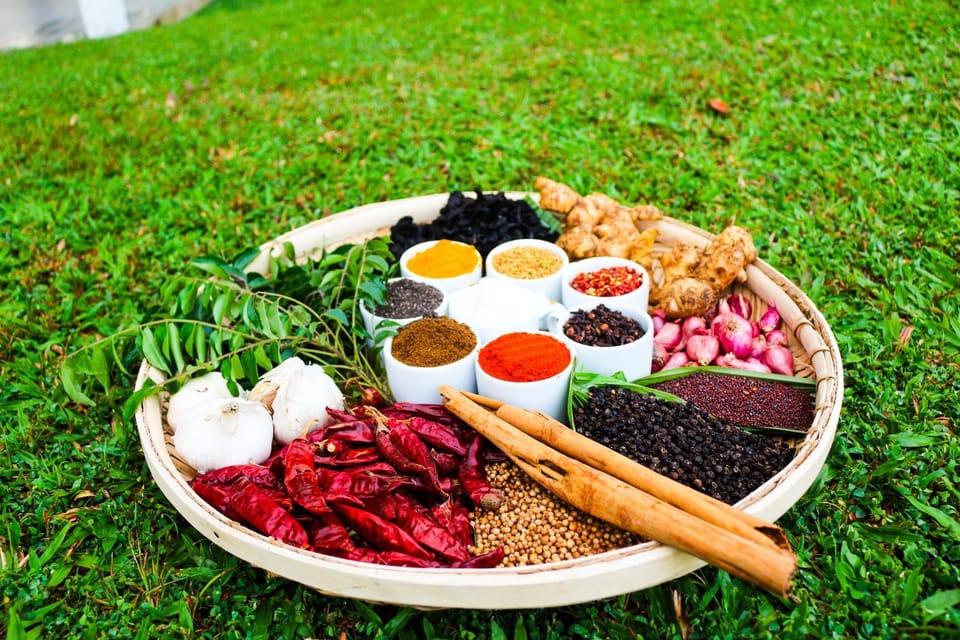 Day, Food, Garden view, Dinner