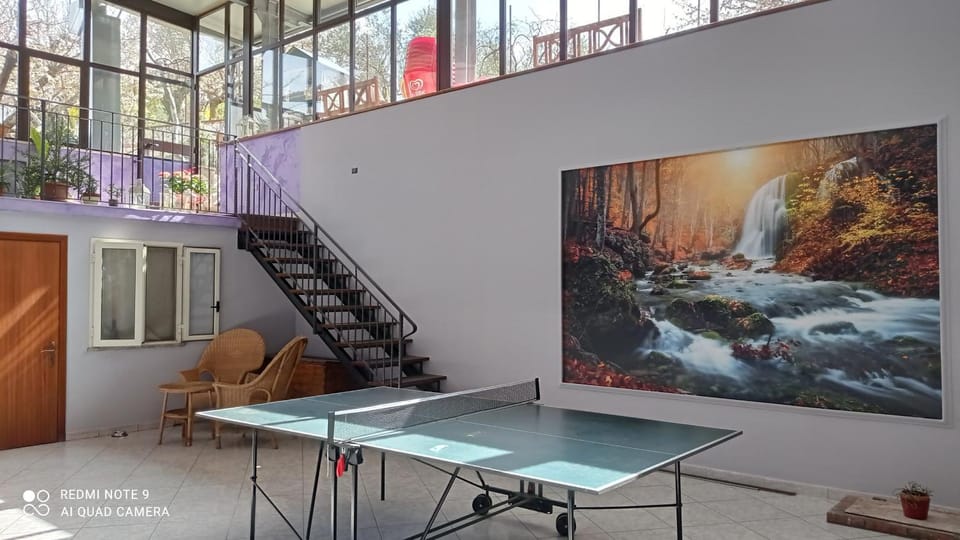 Table tennis