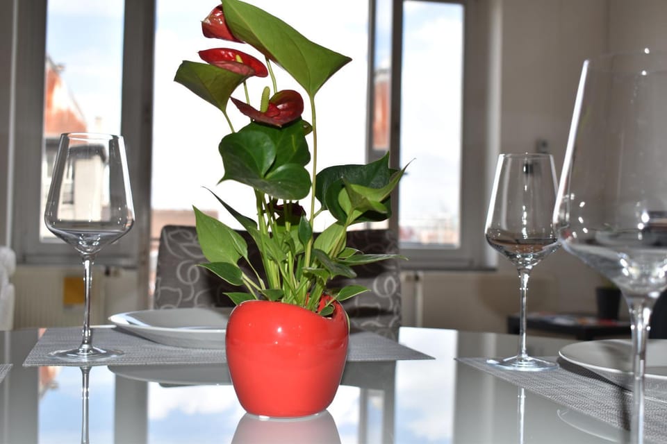 Apartment Tino Apartment in City of Zagreb