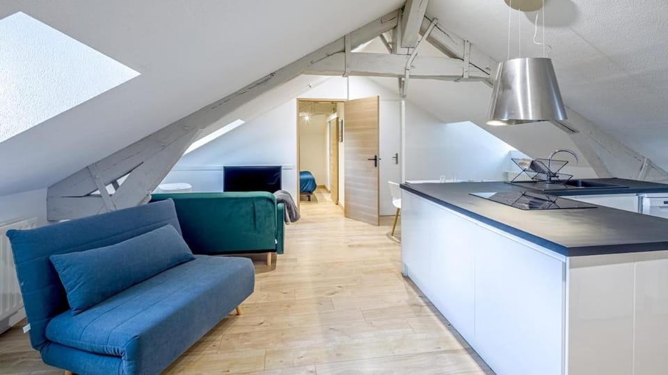 Le Saint Nicolas Apartment in Troyes