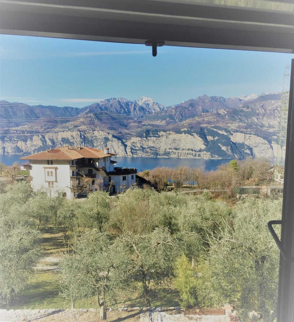 Lake view