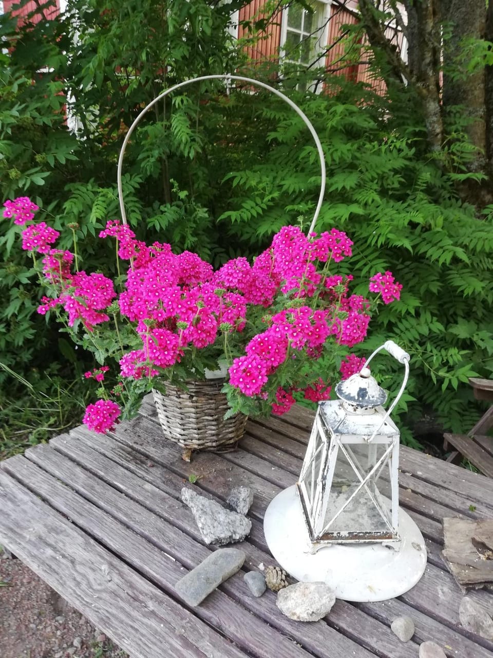 Day, Garden, Garden view