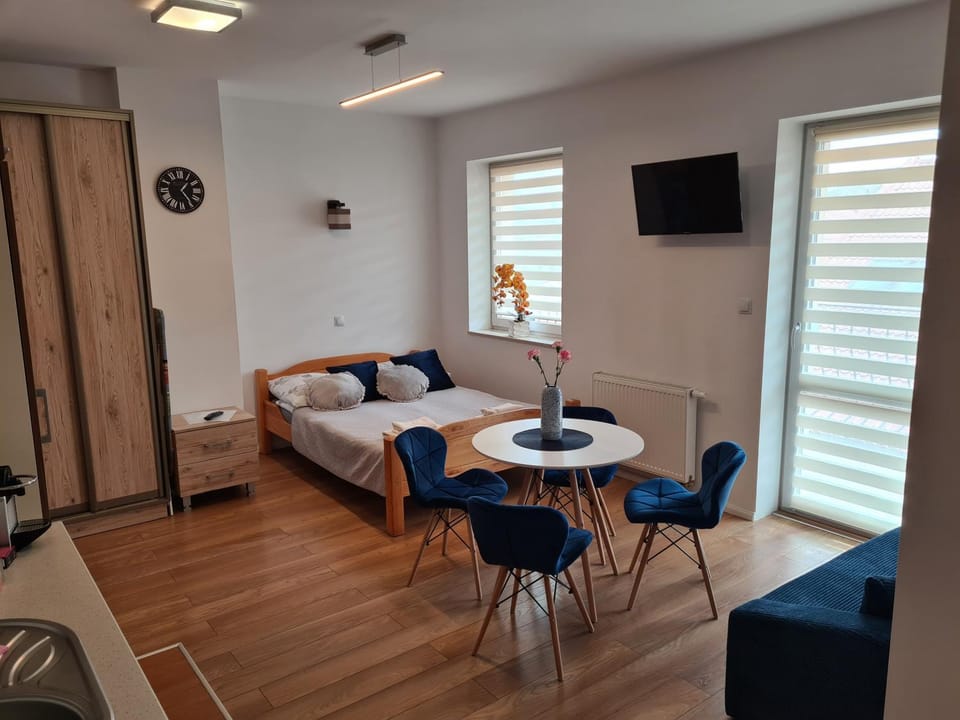 Apartamenty Bełska Centrum Vacation rental in Poland