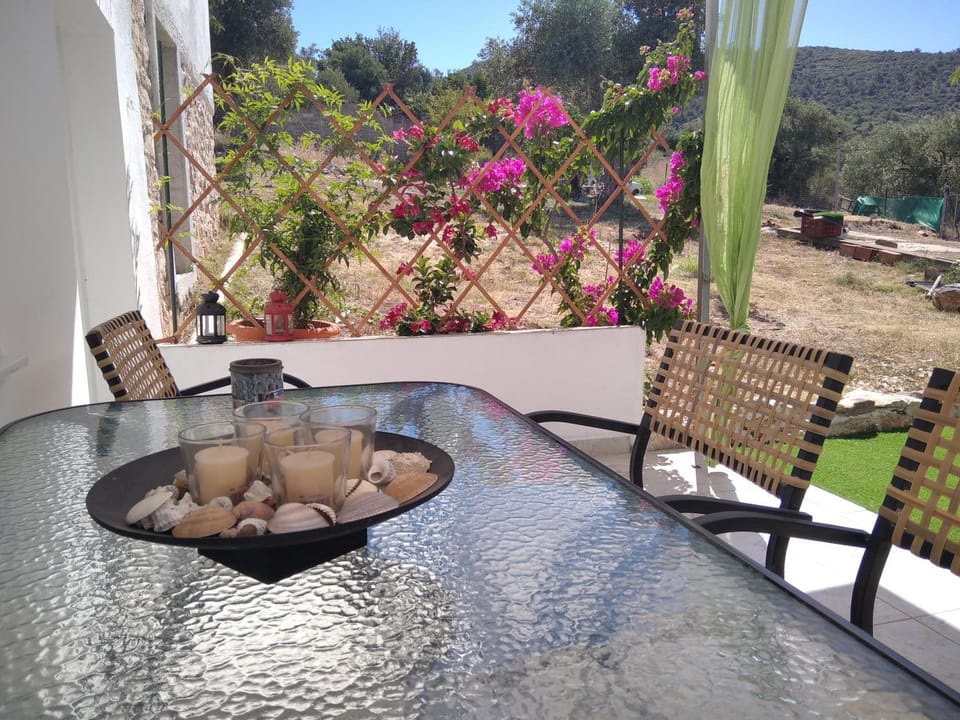 Patio, Balcony/Terrace