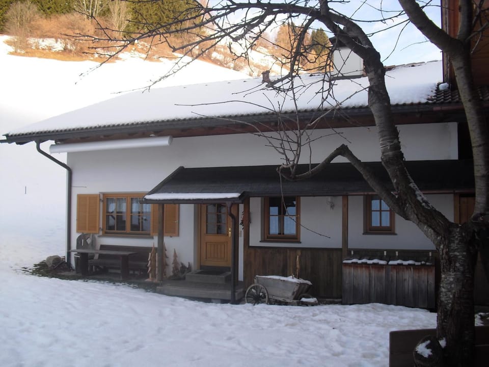 Natural landscape, Winter