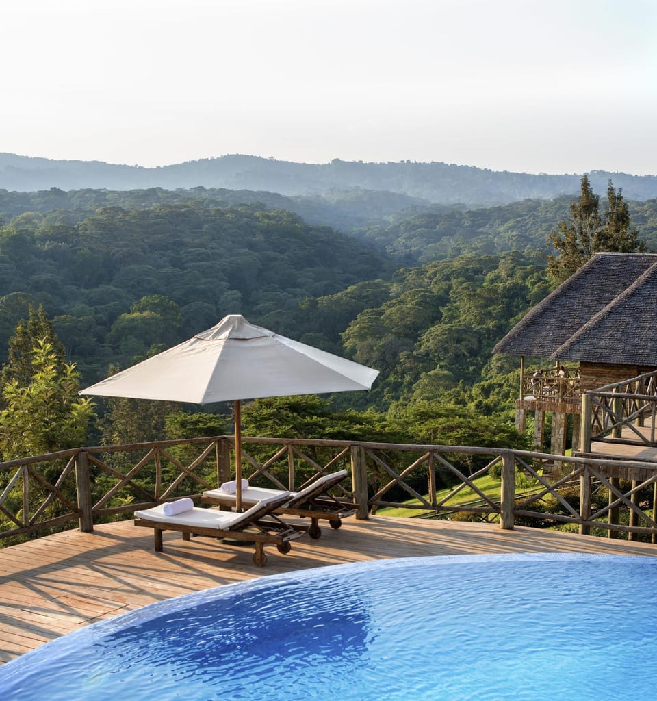 View (from property/room), Swimming pool, Swimming pool