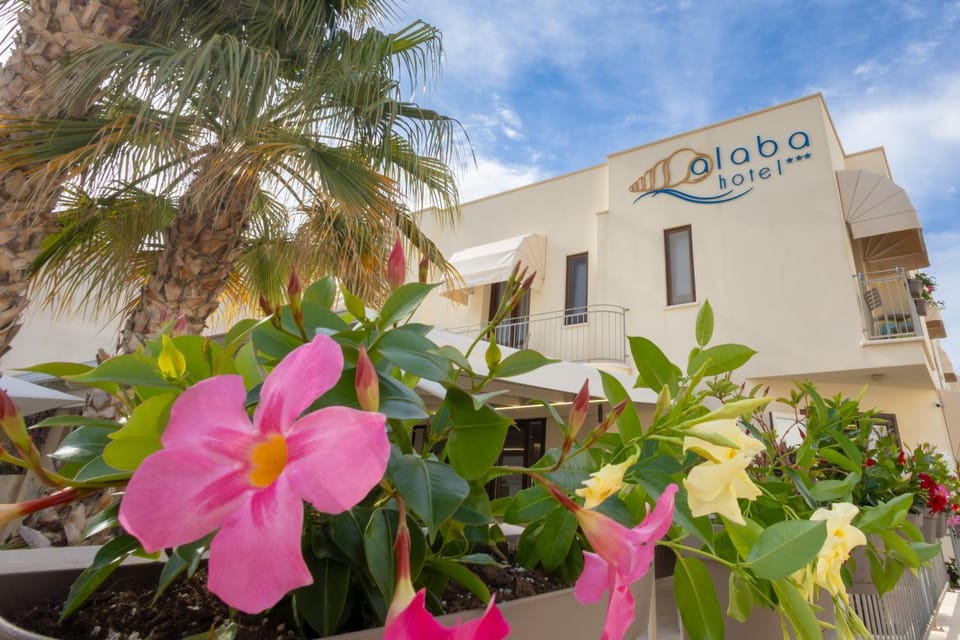 Property building, Spring