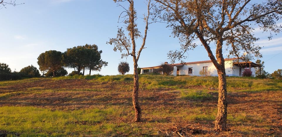 Natural landscape, Garden