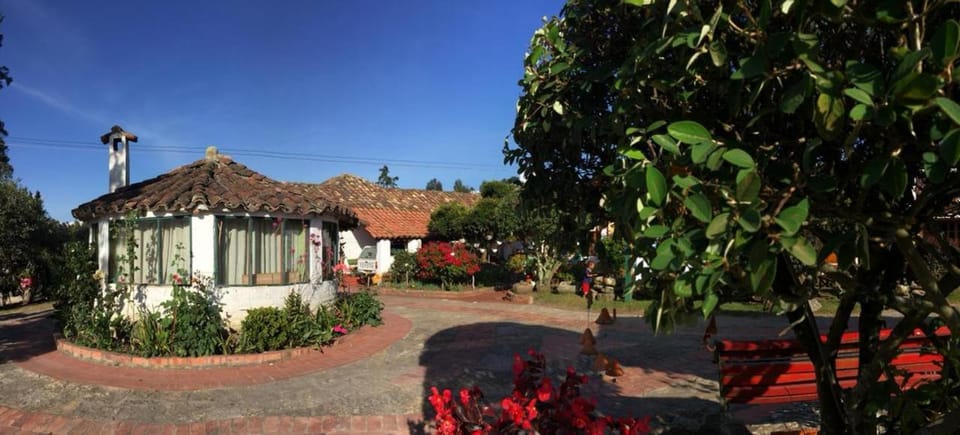 Day, Garden view