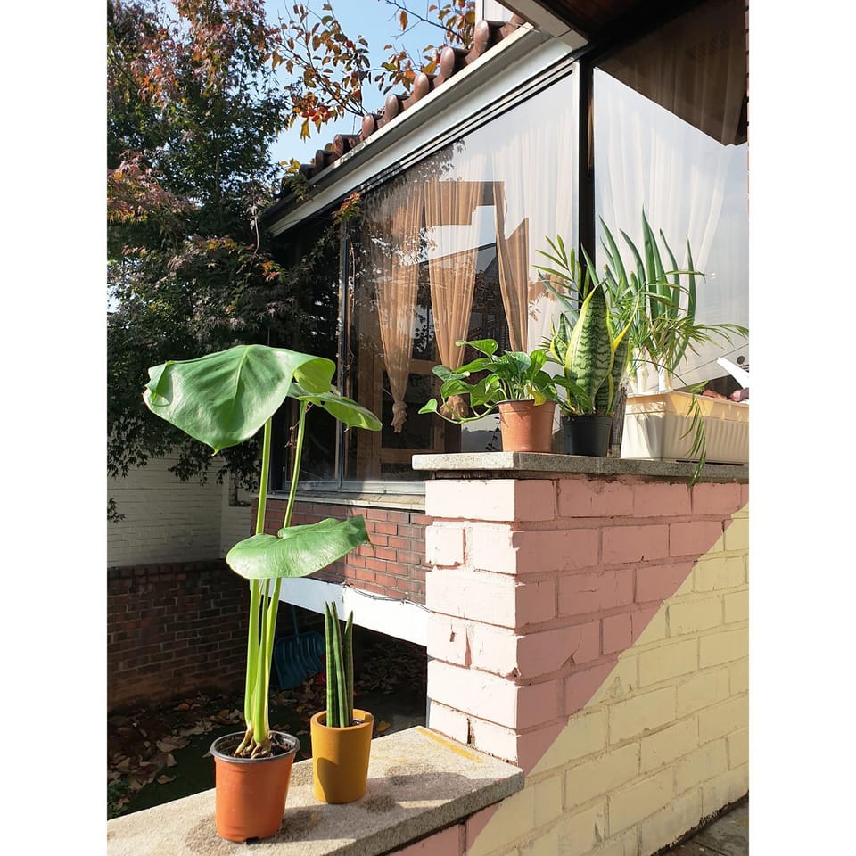 Garden view