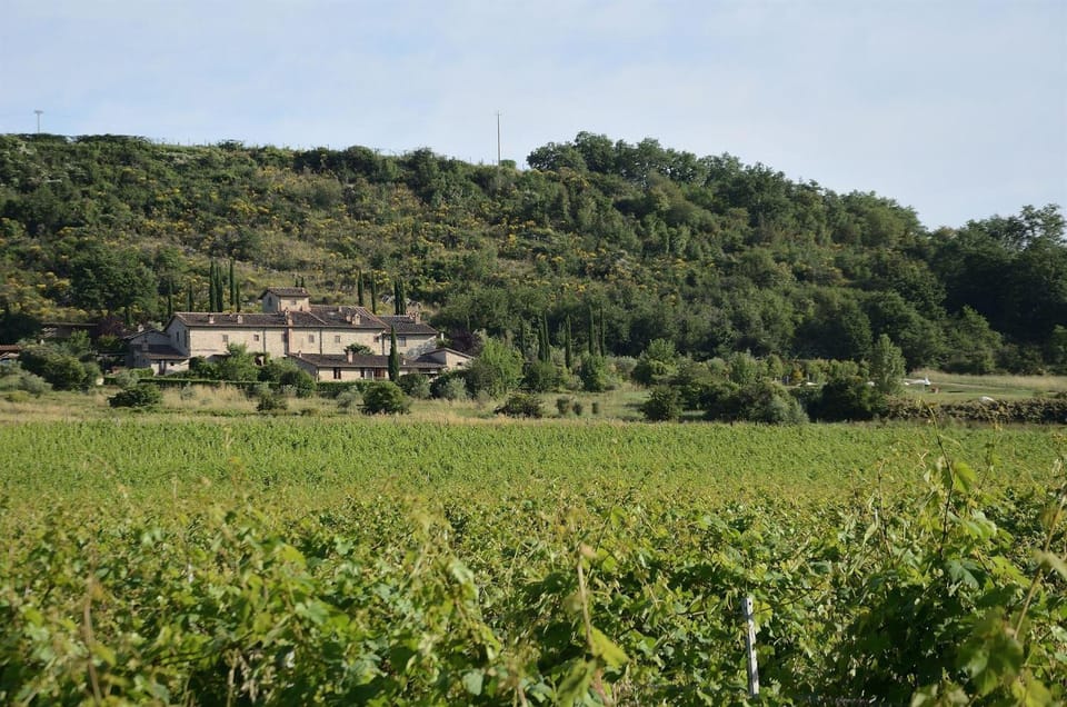 Casa Zaccardi House in Tuscany