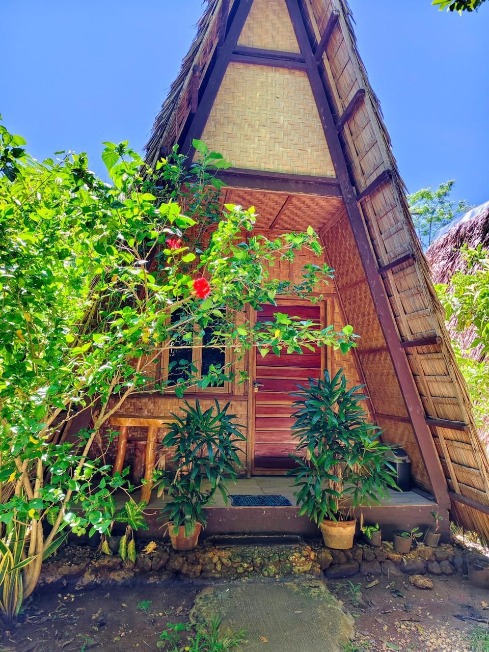 Garden view