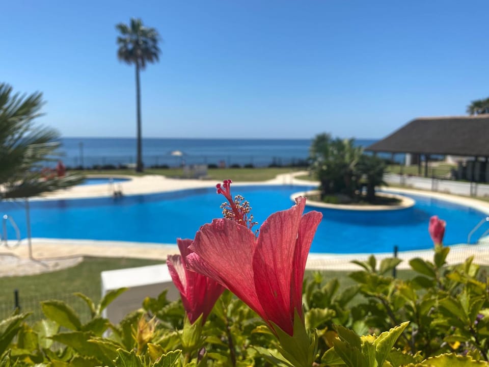 Frontline Beach ground floor with privet garden, Mi Capricho 16 Apartment in Sitio de Calahonda