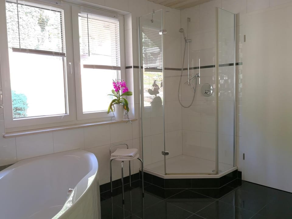 Shower, Bathroom, Photo of the whole room