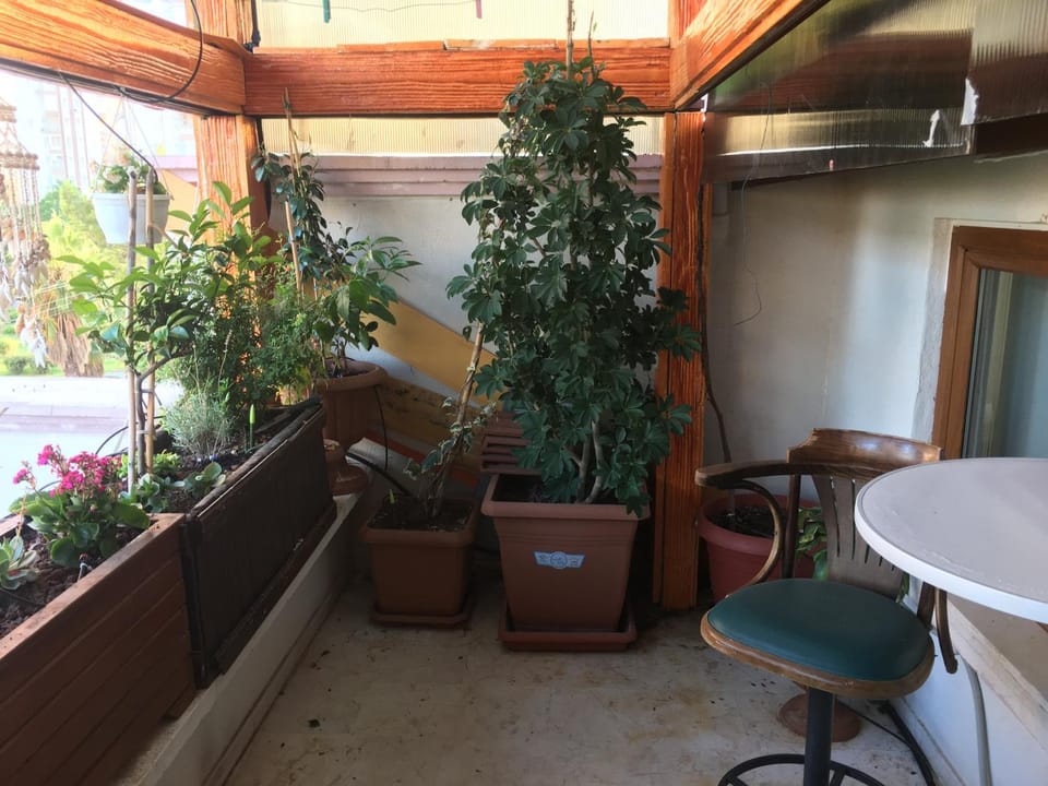 Patio, Balcony/Terrace