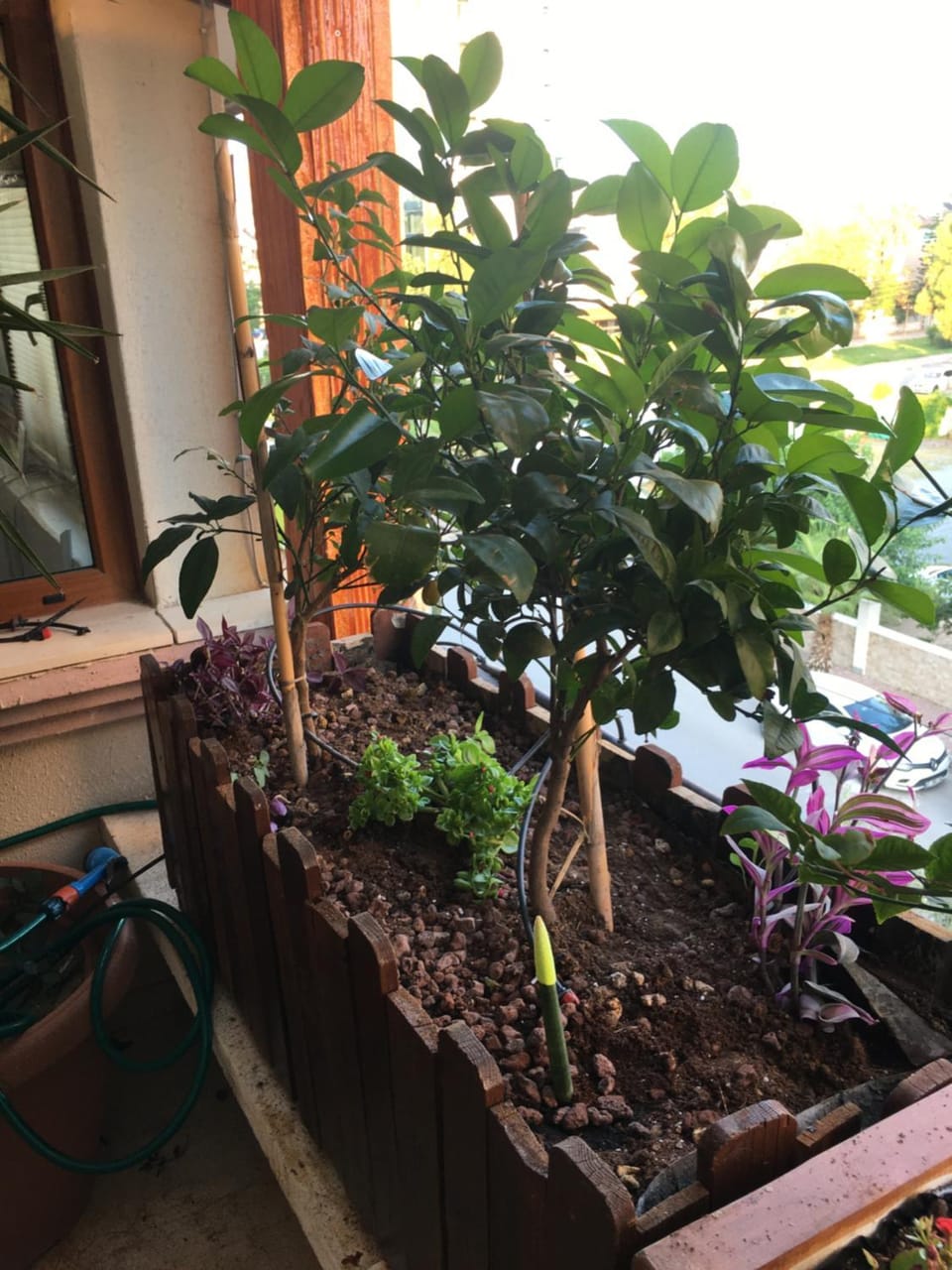Orange Garden Vacation rental in Antalya