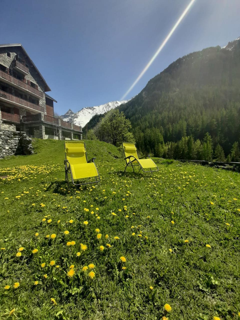 Natural landscape, Garden, sunbed