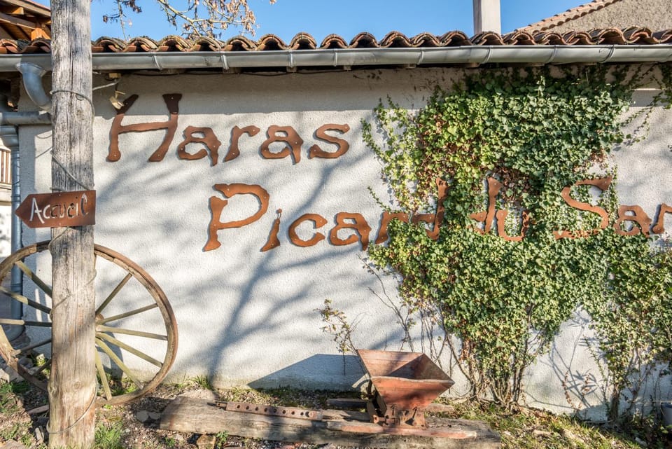 Haras Picard du Sant Bed and Breakfast in Occitanie