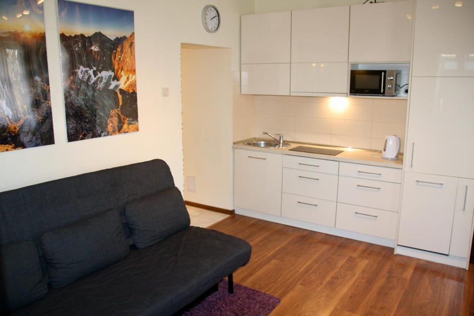 Kitchen or kitchenette, Living room, Seating area, minibar, stove