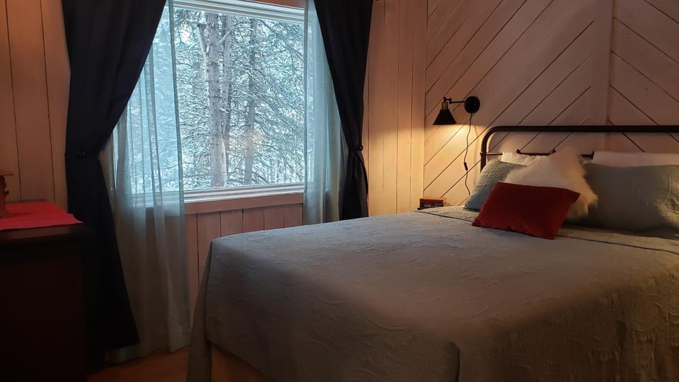 Denali Wild Stay - Muskrat cabin, private, free wifi, free parking, sleep 4 Cabin in Healy